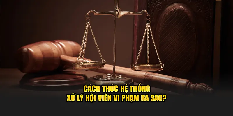 Cách thức hệ thống xử lý hội viên vi phạm ra sao?