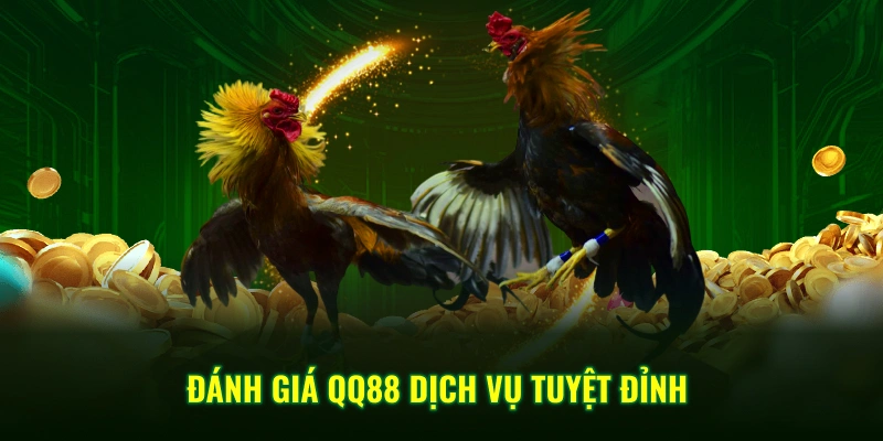 Đánh giá QQ88 dịch vụ tuyệt đỉnh