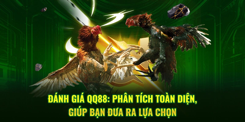 Đánh giá QQ88