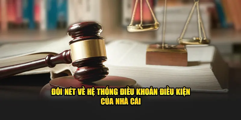 Đôi nét về hệ thống điều khoản điều kiện của nhà cái